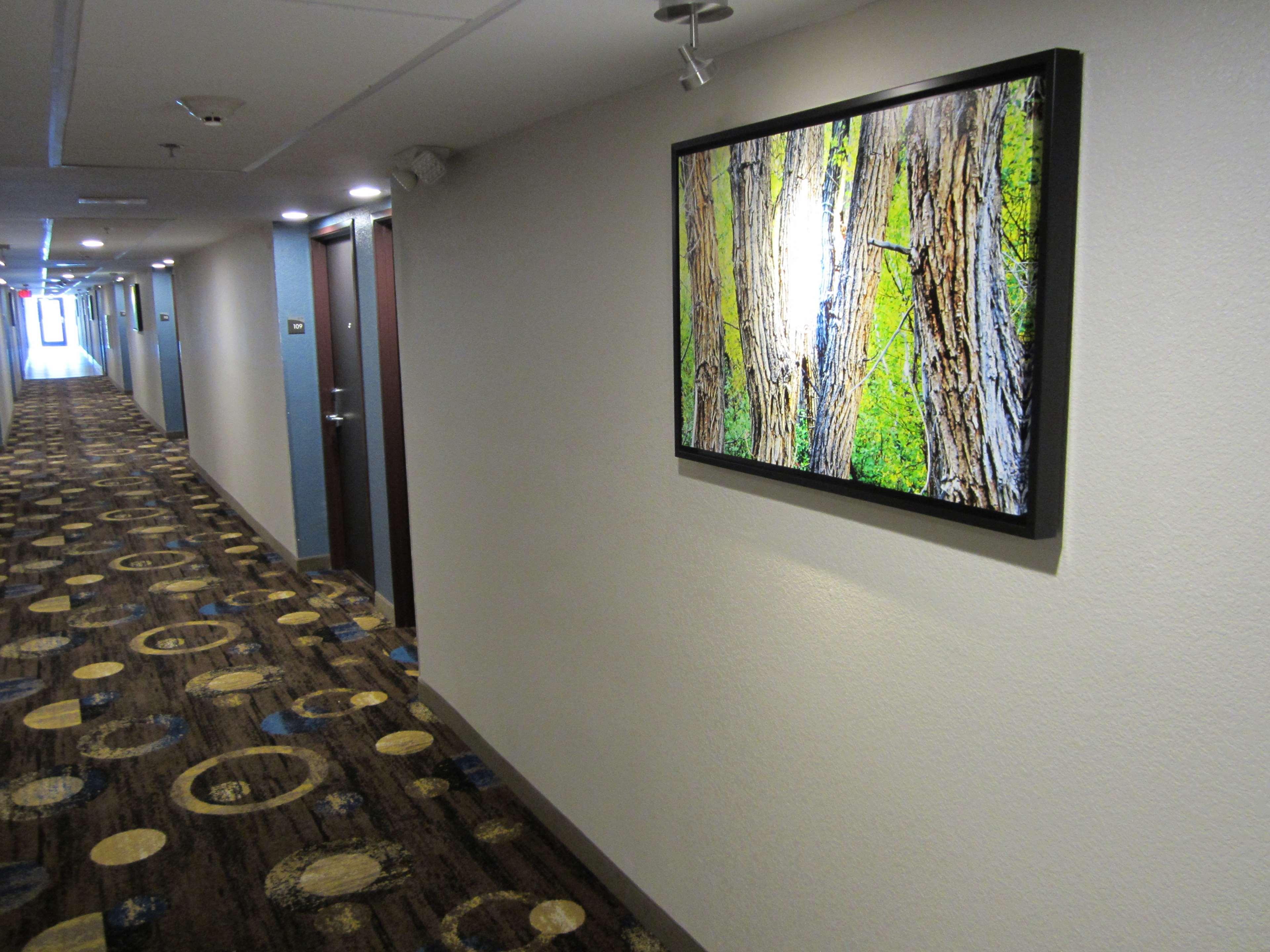 Best Western Plus Sunrise Inn Нэшвилл Экстерьер фото